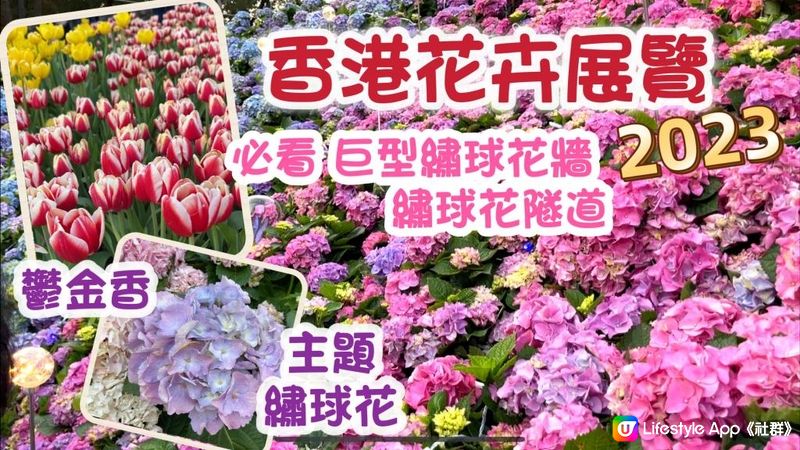 香港花卉展覽2023｜首日實測 繡球花主題+鬱金香｜率先睇打卡靚位｜ Hong Kong Flower Show 2023