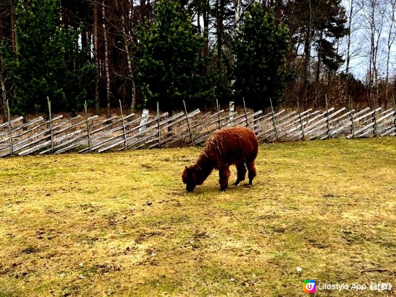 Tallinn Zoo