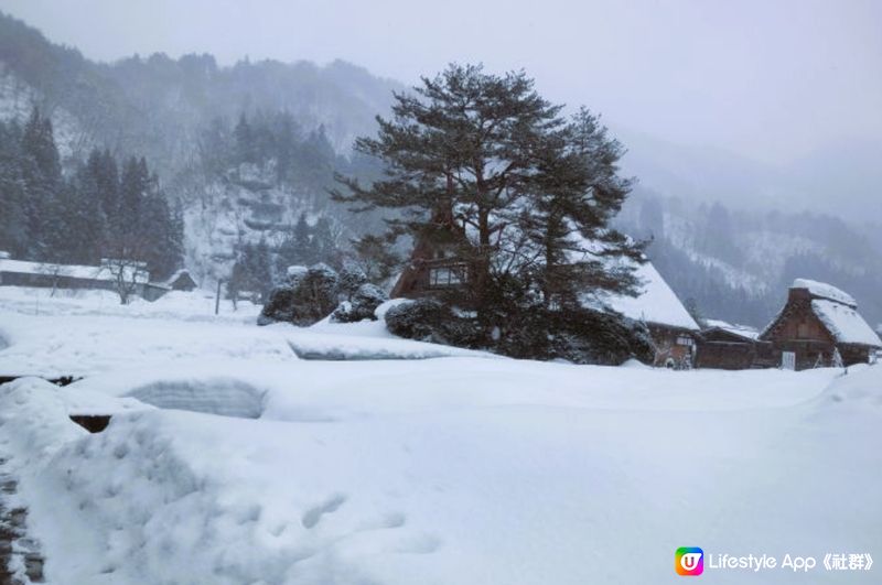 合掌村~ 白川鄉 《冬天出行應注意》♡