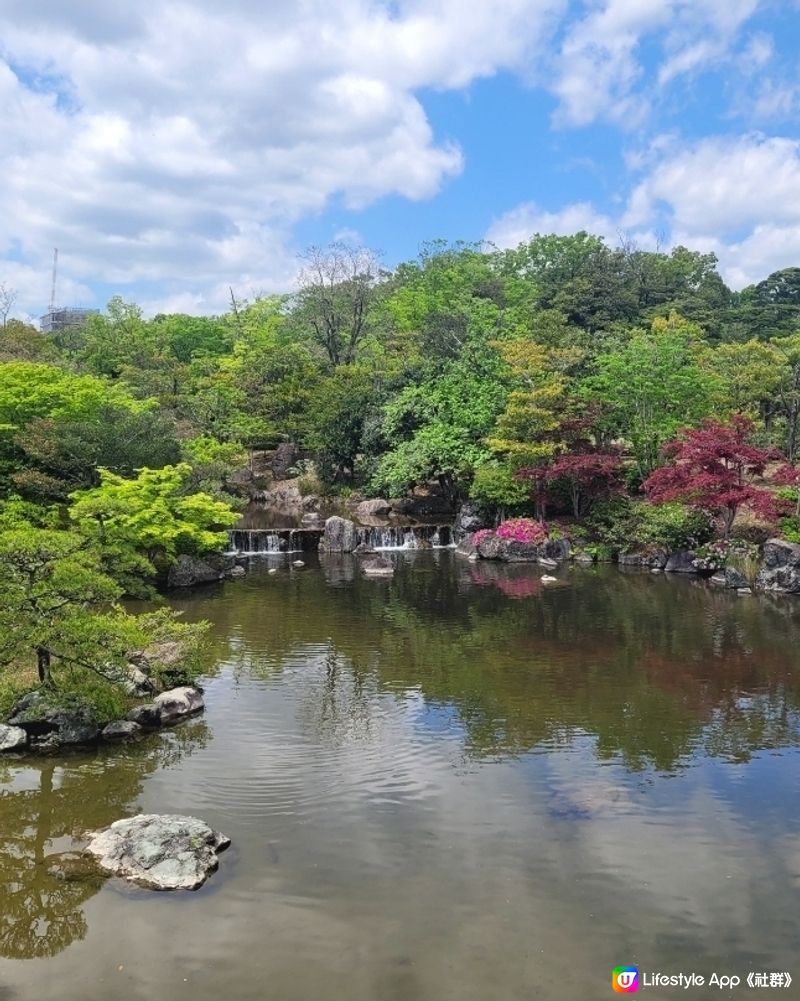 粉媟花，紫藤花