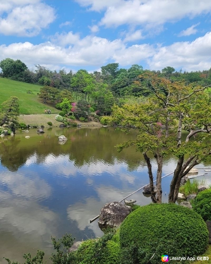 粉媟花，紫藤花