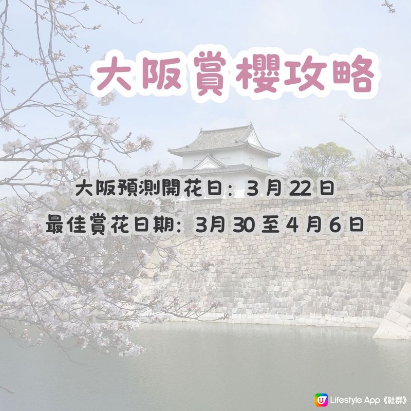 大阪賞櫻路線🌸三個賞櫻點+認識大阪歷史！