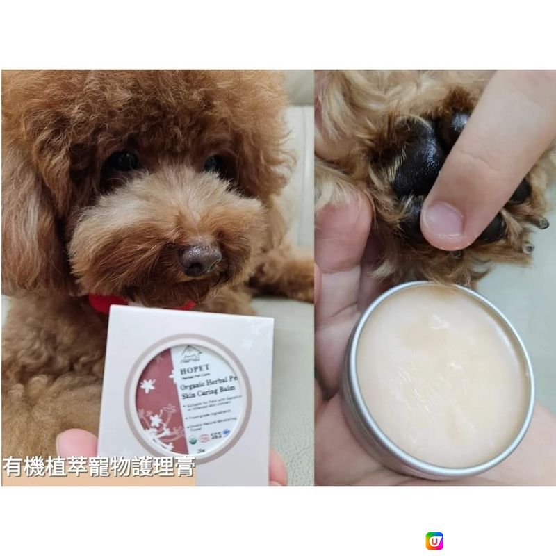 🐶養寵物必備三寶🐱