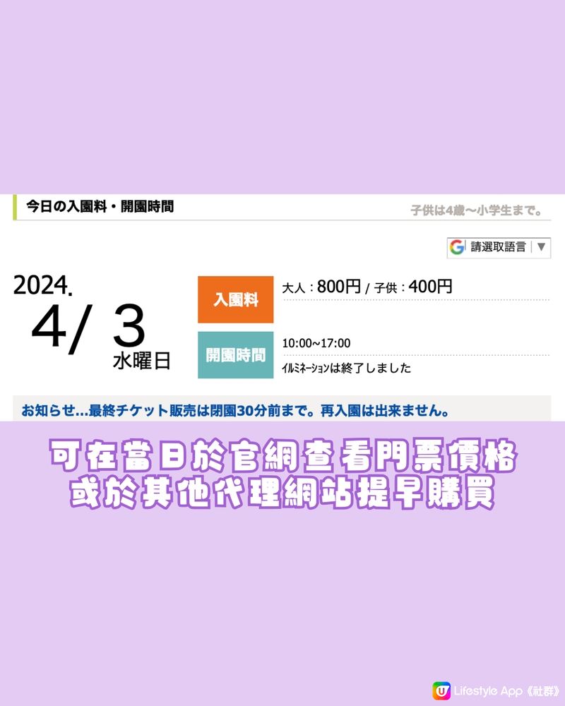 紫藤花4月東京接力盛開💜全日本唯一獲評世界10大夢幻旅遊景點