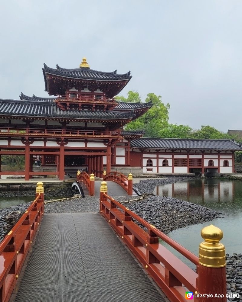 雨中漫遊平等院