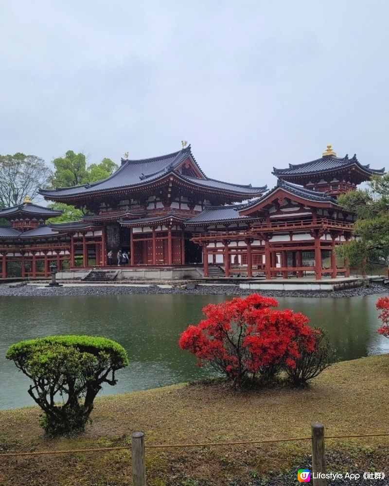 雨中漫遊平等院