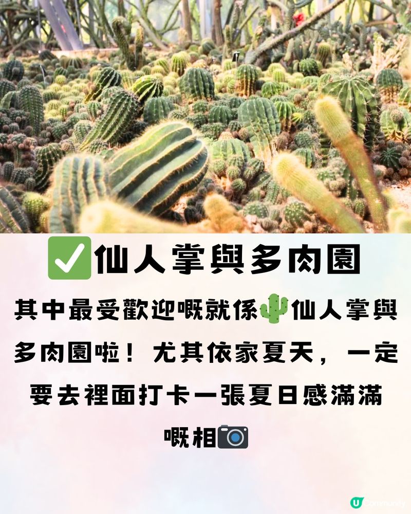 深圳蓮塘口岸5大好去處推介🔖附交通教學🚗