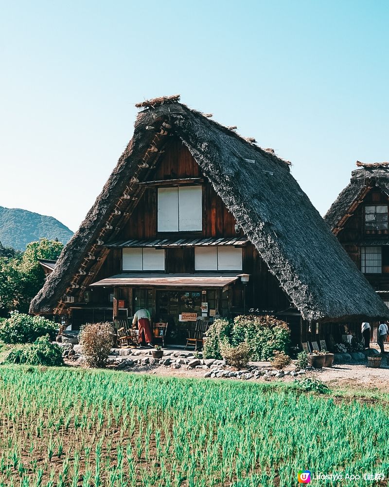 白川鄉四季美景，夏季去都有靚景！