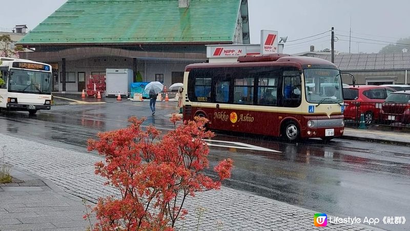 雨中的小日光~ 