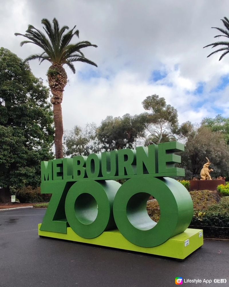 墨爾本動物園 Melbourne Zoo 