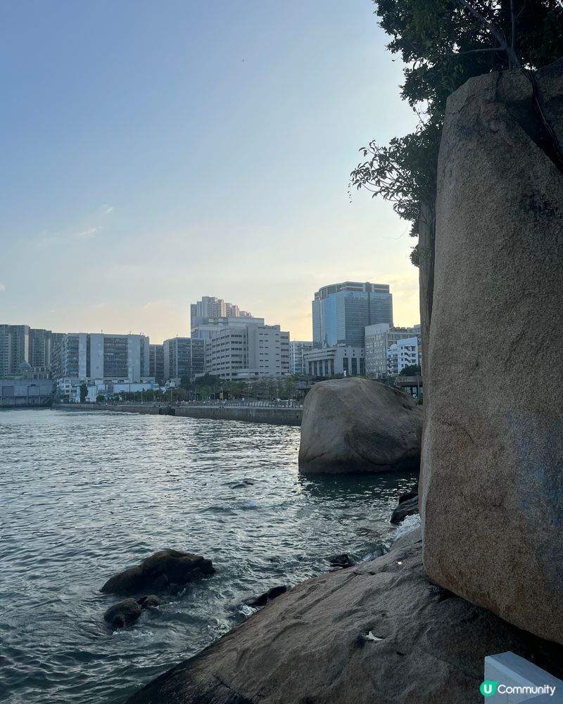 海心公園🌸🌴放鬆身心、欣賞日落之選🌊⭐️