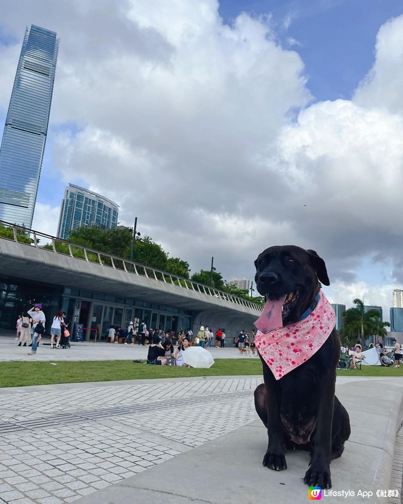 帶狗狗去西九文化公園曬太陽❗️💕