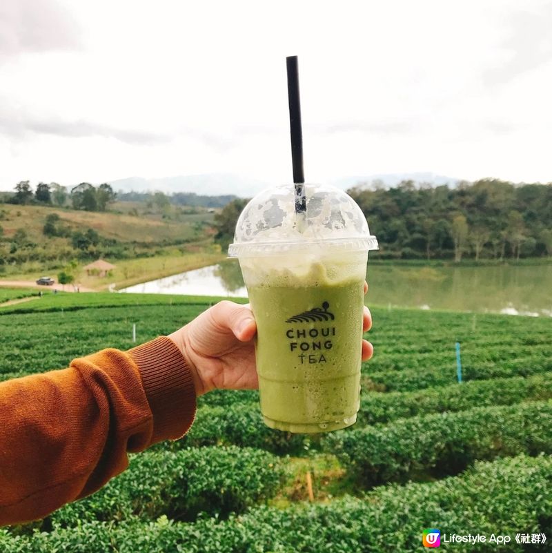 清萊翠峰茶園打卡📸  世外桃園咁靚😍仲有超美味的茶制蛋糕飲品