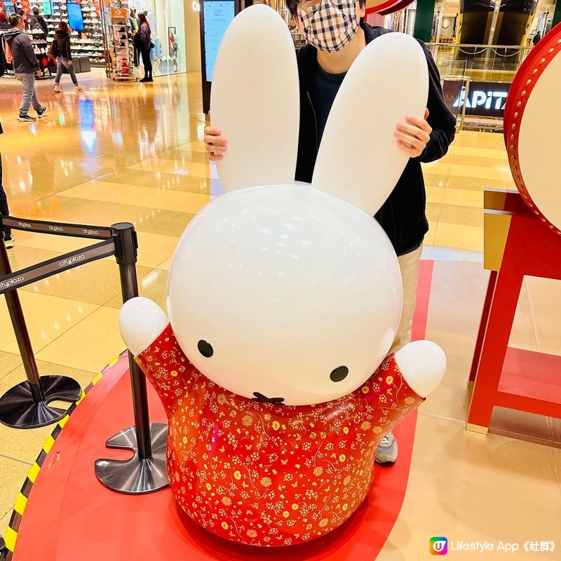 Miffy🐰鬱金香花海❤️太古城中心