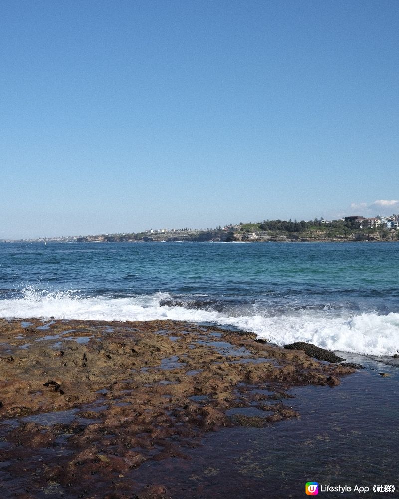 悉尼放鬆好去處 - Bondi Beach / Market