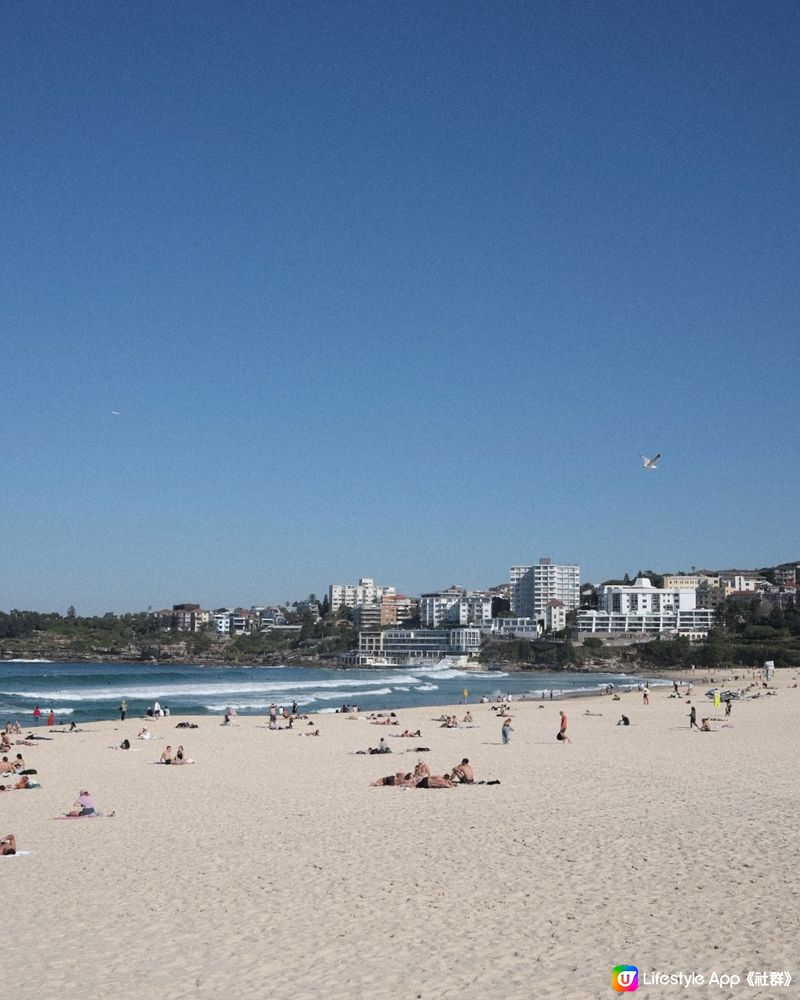 悉尼放鬆好去處 - Bondi Beach / Market