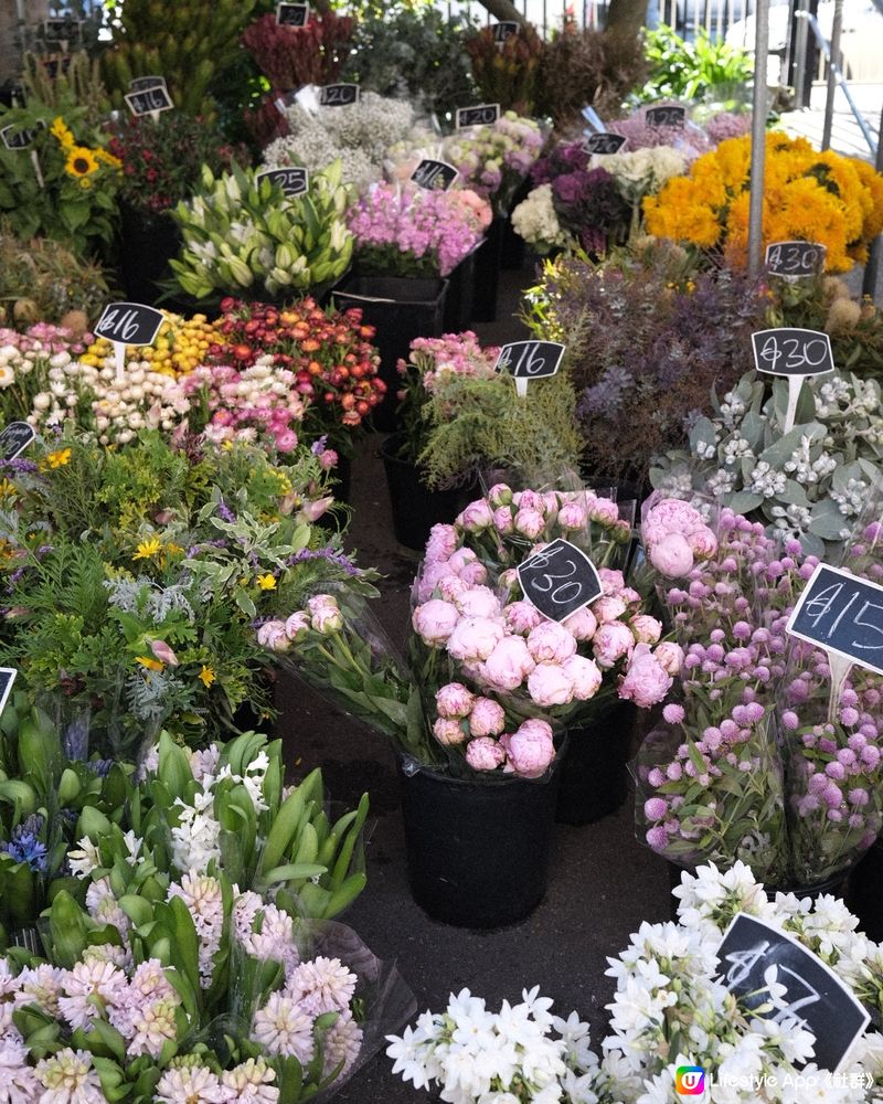 悉尼放鬆好去處 - Bondi Beach / Market