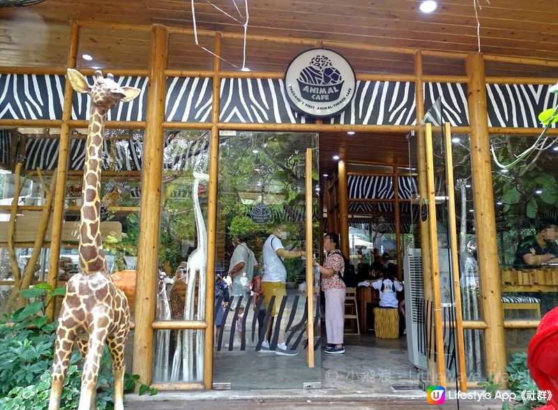 【曼谷Safari World餐廳推薦：Animal Cafe】