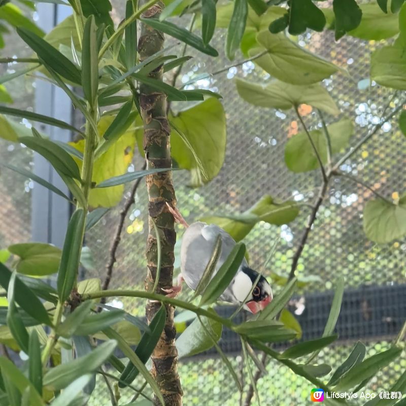 每次聽到公園 就真係俾小朋友放電嘅地方