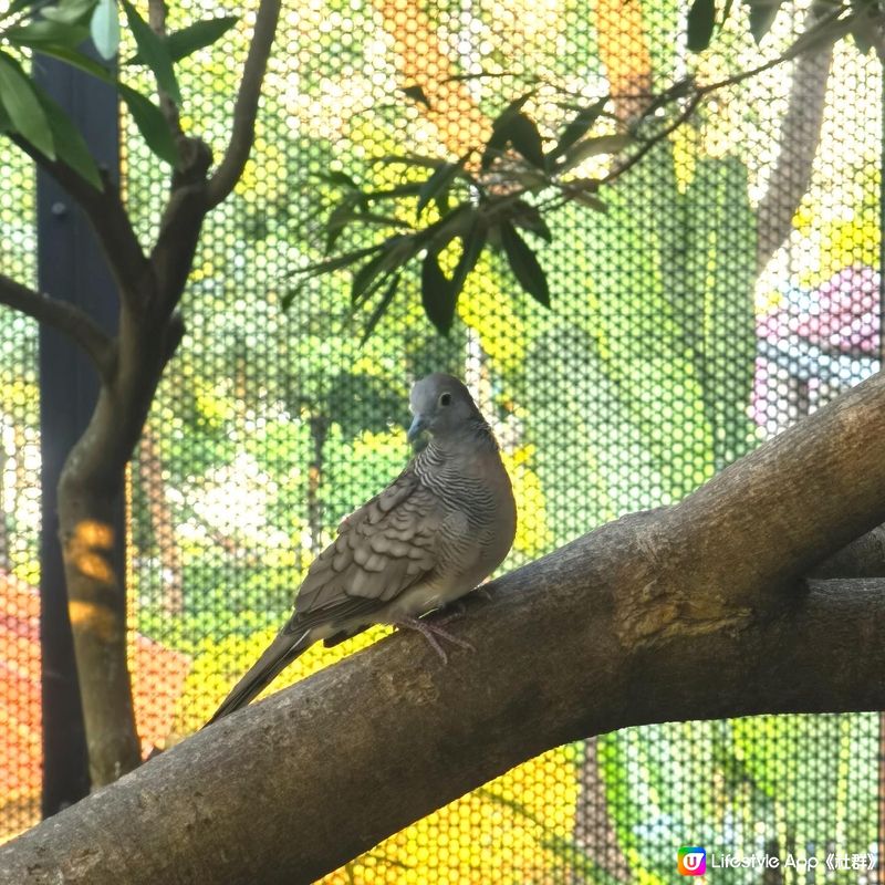 每次聽到公園 就真係俾小朋友放電嘅地方