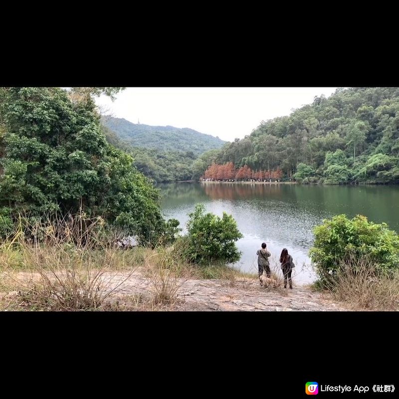 簡易賞紅葉🍁路線第二回，今次去到有「天空之鏡」和「港版輕井...