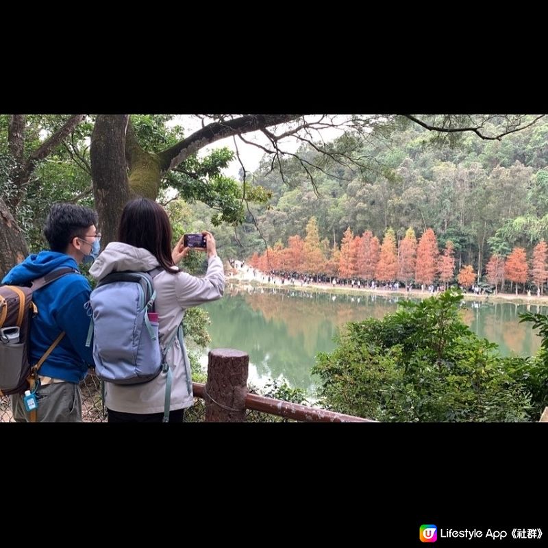 簡易賞紅葉🍁路線第二回，今次去到有「天空之鏡」和「港版輕井...