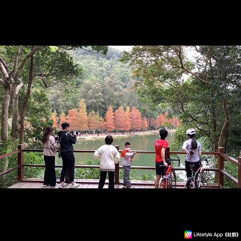 簡易賞紅葉🍁路線第二回，今次去到有「天空之鏡」和「港版輕井...