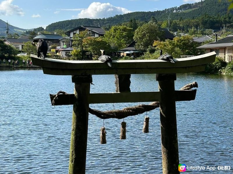 風景如畫的金鏻湖