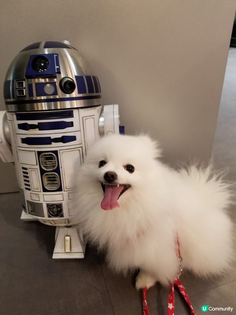 Creamie💞： Star War 好吖，咩商場我都跟住...