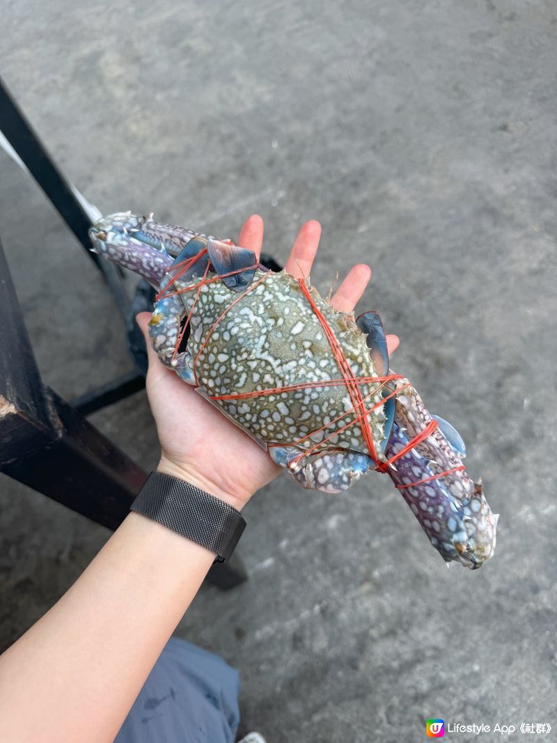 🇹🇭 曼谷必食｜𝐇𝐊$𝟏𝟐𝟎無限時 🦐 生猛海鮮任食