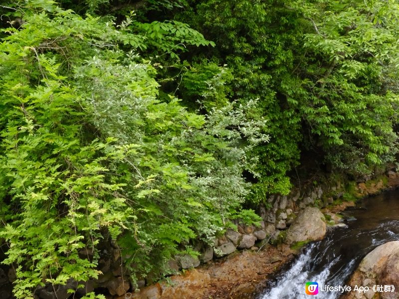 黑川溫泉山上的日式別墅 - 山花水木別邸 深山山莊 🏠🌳