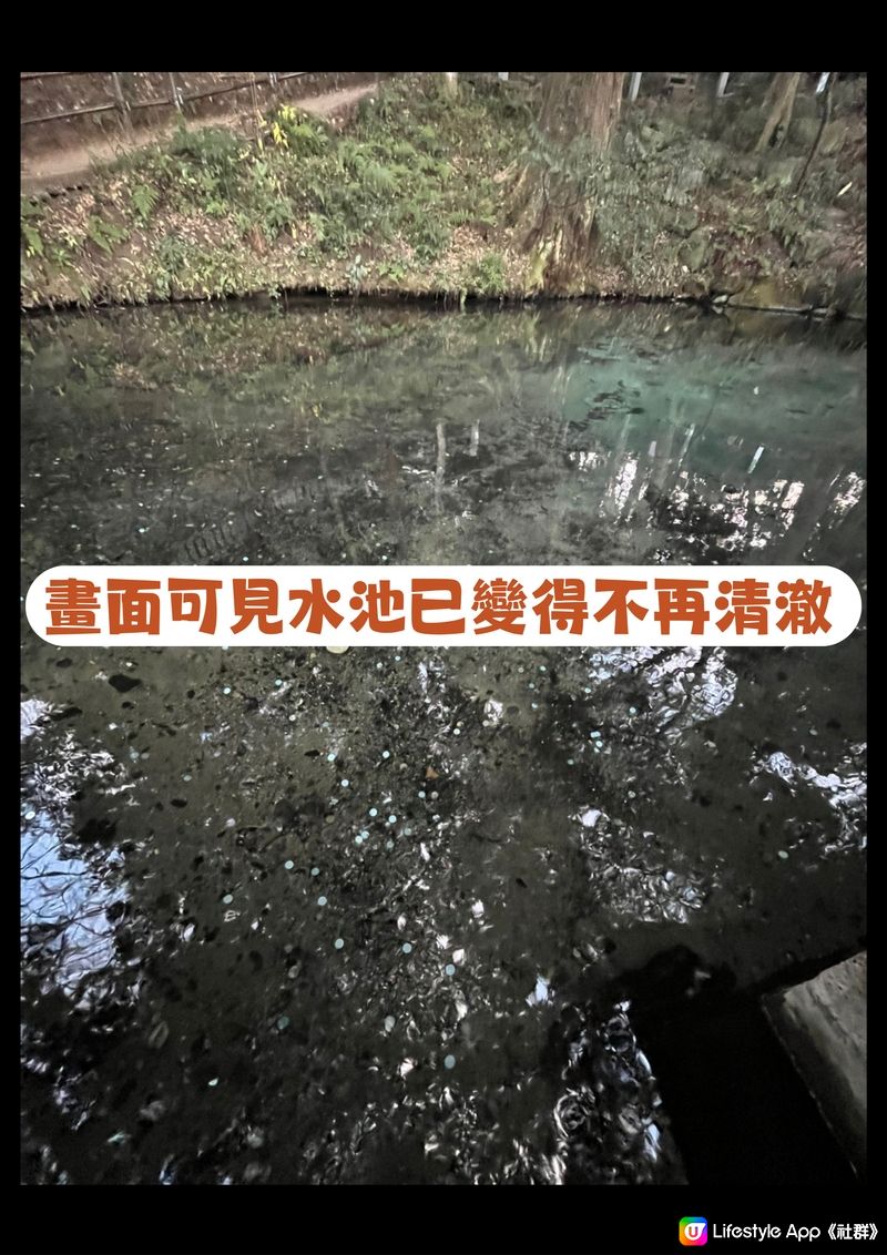 ⛩️日本神社官方告急😭‼️呼籲遊客唔好再做呢樣嘢❌🙏🏻