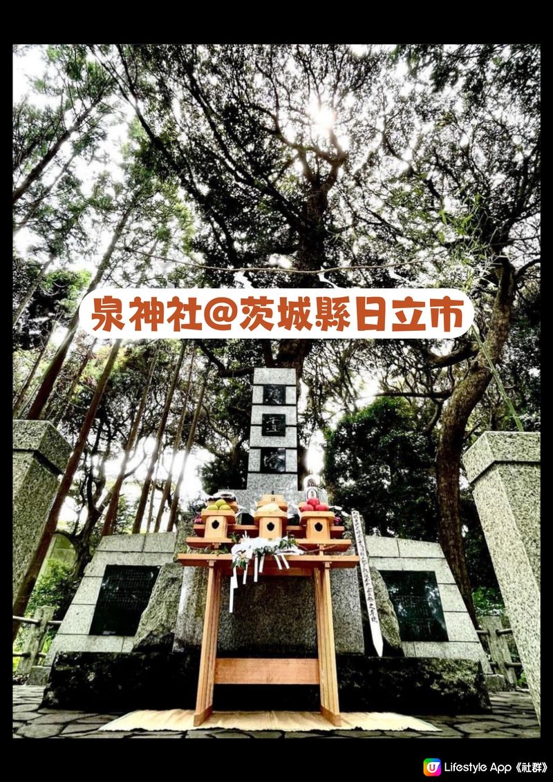 ⛩️日本神社官方告急😭‼️呼籲遊客唔好再做呢樣嘢❌🙏🏻