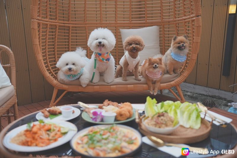 家樂坊petfriendly室外休閑thai food