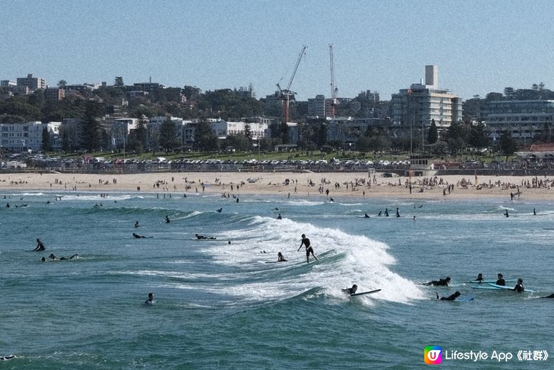 悉尼 Bondi beach 🏖️