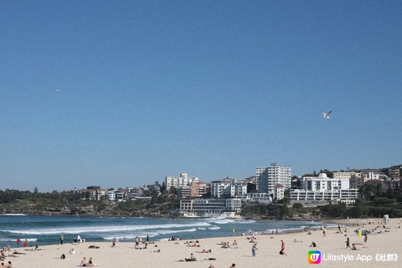 悉尼 Bondi beach 🏖️