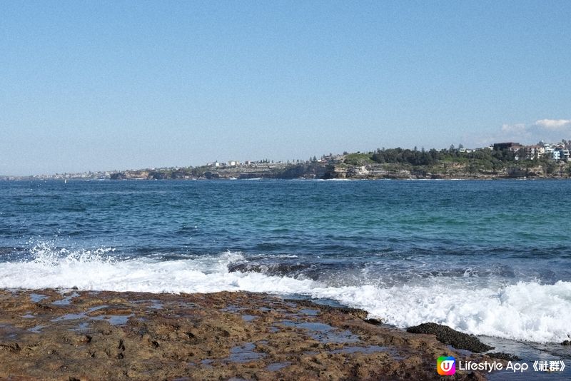 悉尼 Bondi beach 🏖️