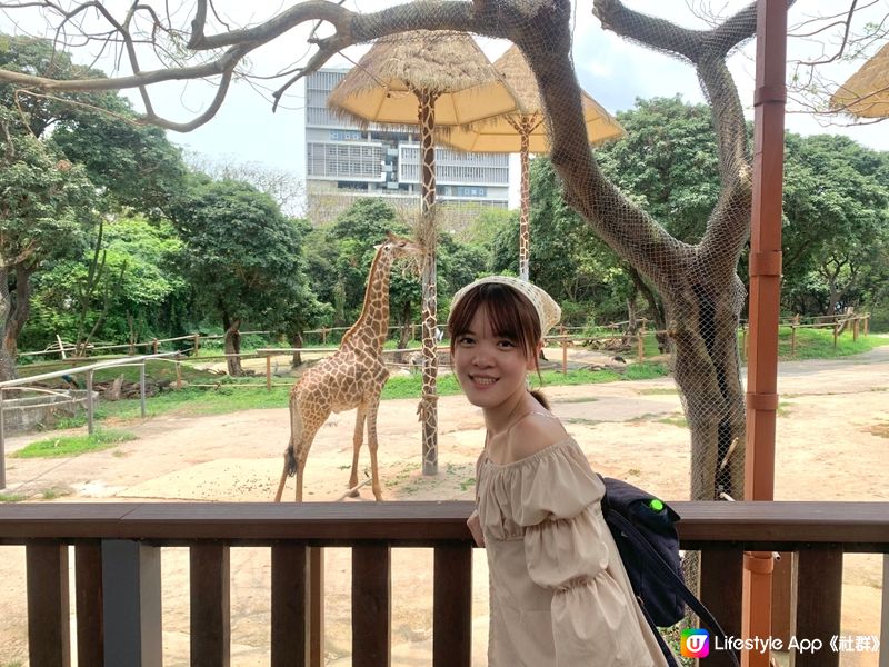 假期嚟【深圳動物園】親親動物😍