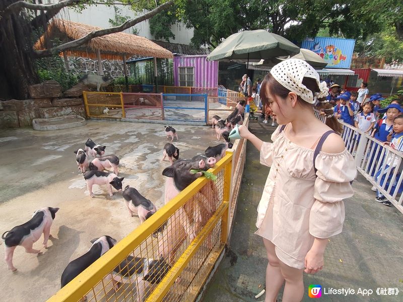 假期嚟【深圳動物園】親親動物😍