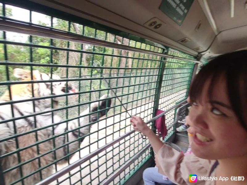 假期嚟【深圳動物園】親親動物😍