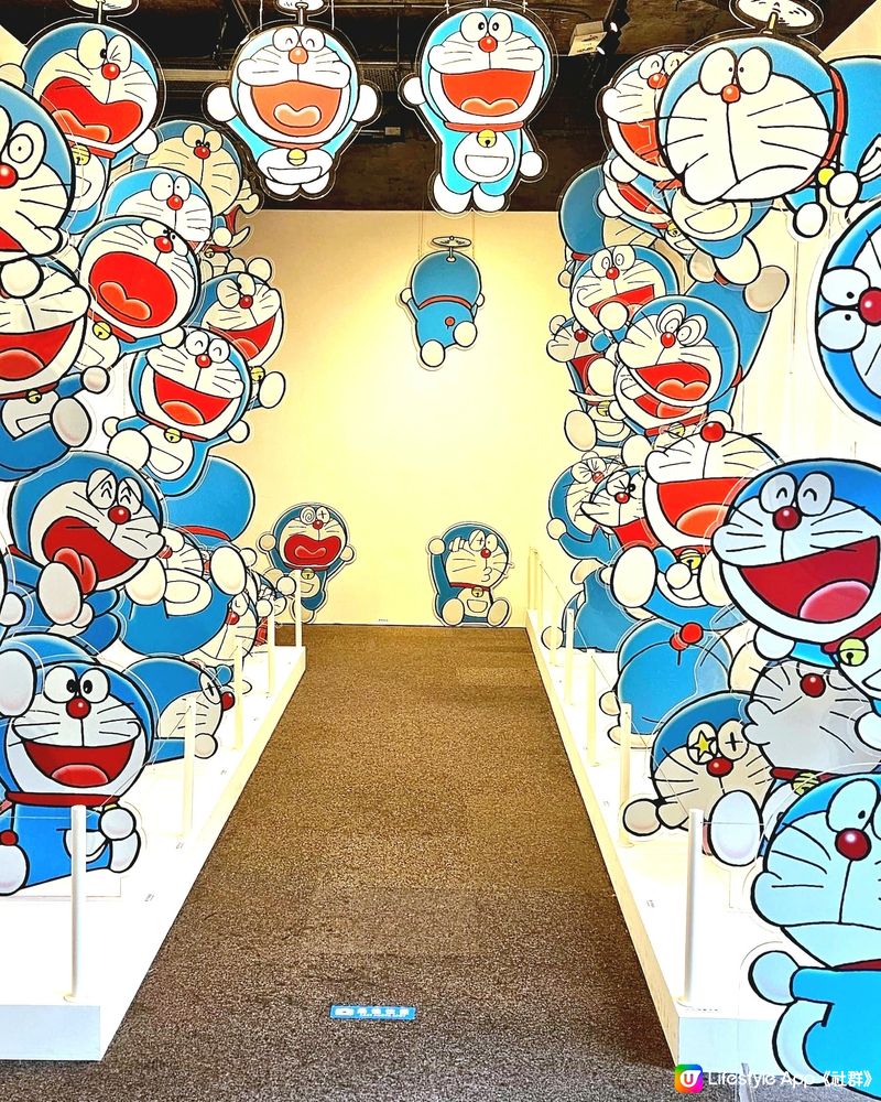 100% 多啦A夢 & FRIENDS ♾️Doraemon