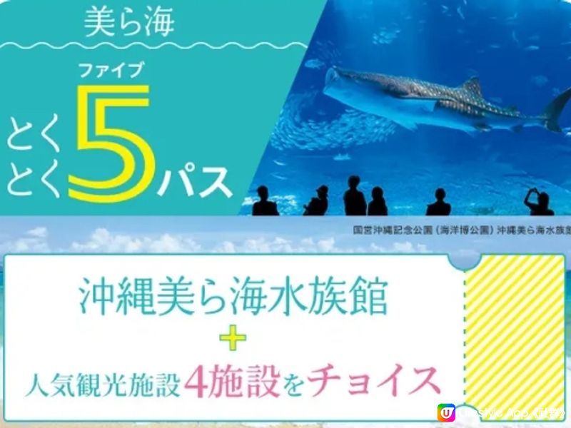 慶祝WAmazing完美行8歲生日！日本旅行幫你輕鬆慳錢！