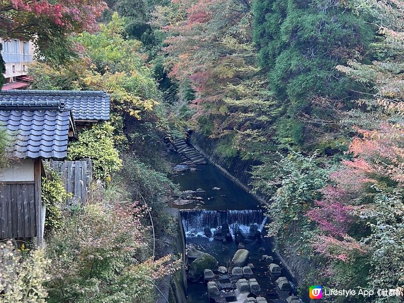 日本九州浸溫泉♨️