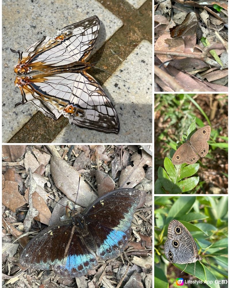 夏天郊遊好去處