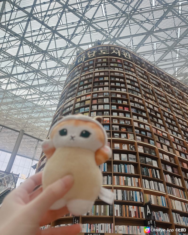 💫 Starfield Library Chill Day🍃