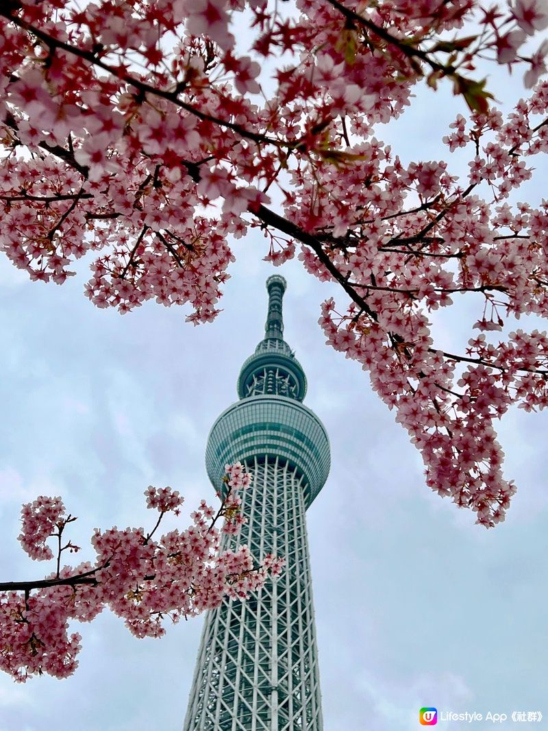 日本是一個永遠都有驚喜的地方 美食多元化 打卡景點具特色 又...