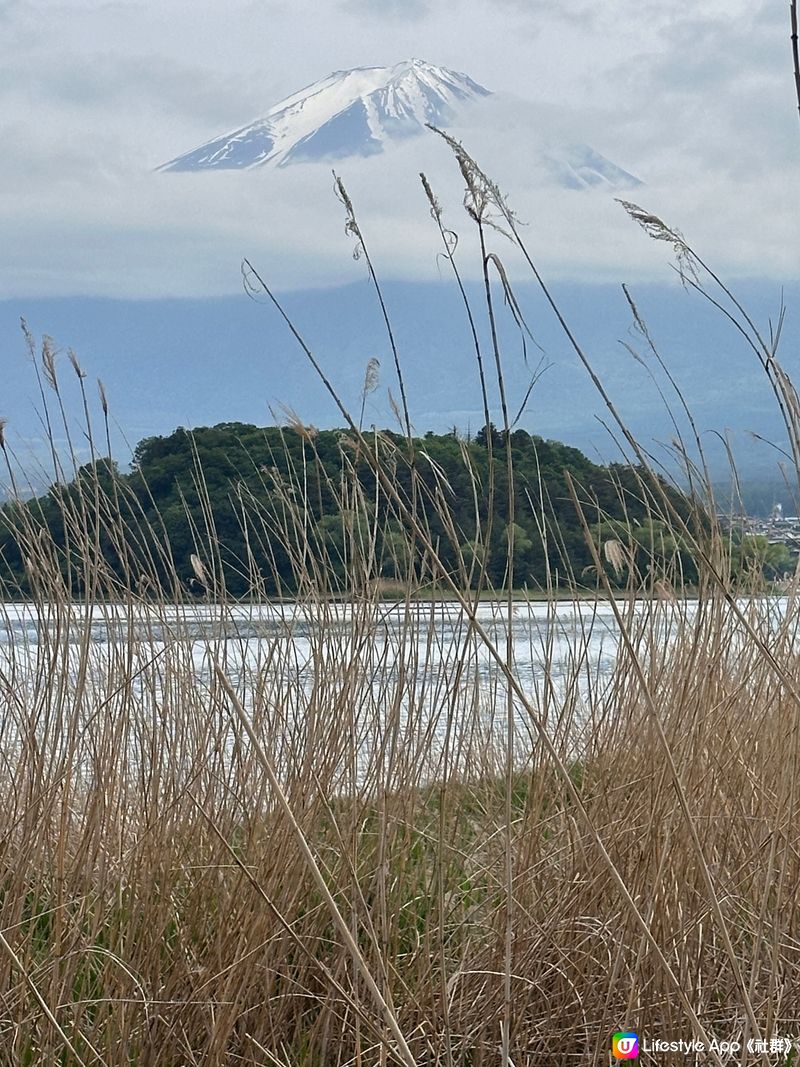 去看富士山🗻小分享