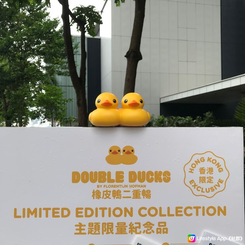 攝於今天早上的鴨鴨🐤 Final Duck