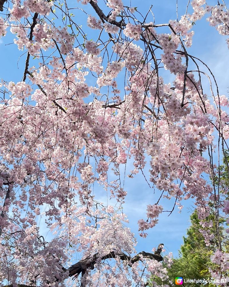 一個女生遊京都