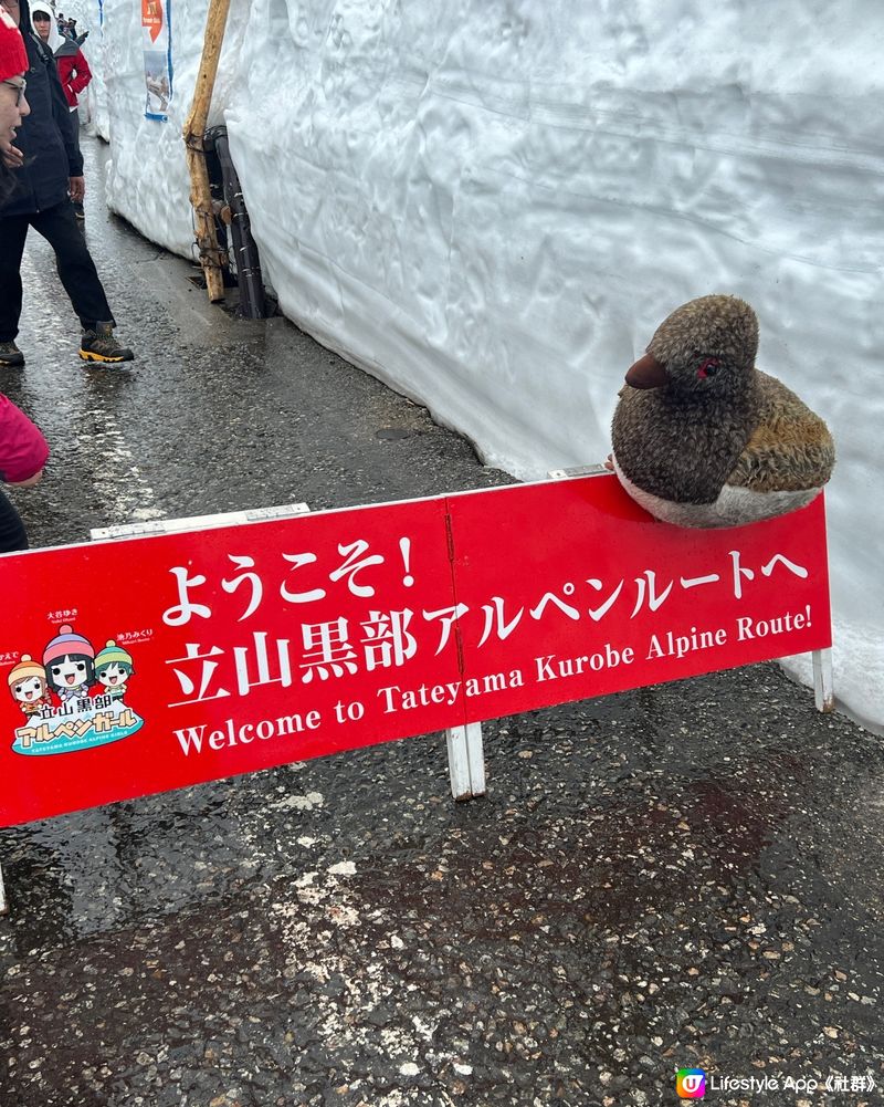 ❄️立山黑部🏔️雪壁🌨️